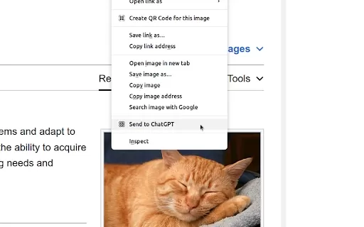 ChatGPT Xtra - Chrome Extension