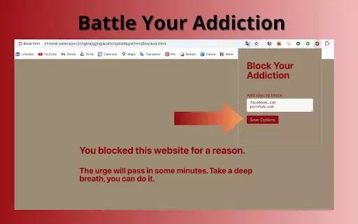 Block Porn