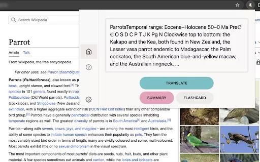 Doozy: AI Made Easy - Chrome Extension