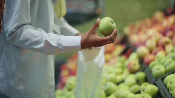 AI Shopping Assistant