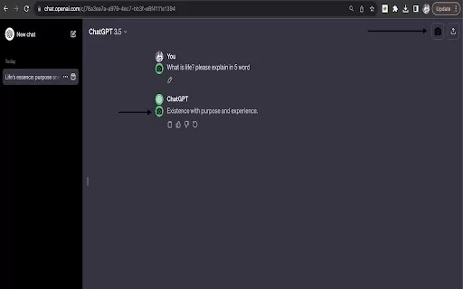 ChatGPT Snapshot - Chrome Extension