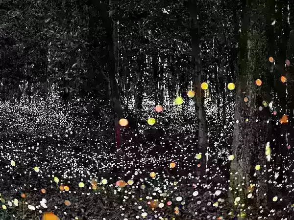Adobe Firefly: a única ferramenta de imagem AI que realmente importa