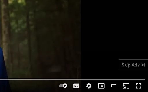 YouTube Ad Skipper - Chrome Extension
