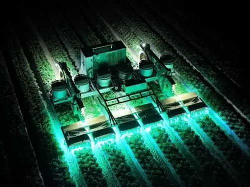 UV-Licht reduziert den Einsatz von Pestiziden bei Erdbeeren bei TRIC Robotics