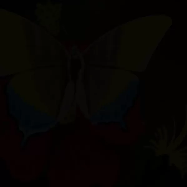 動物藝術中的文化意義