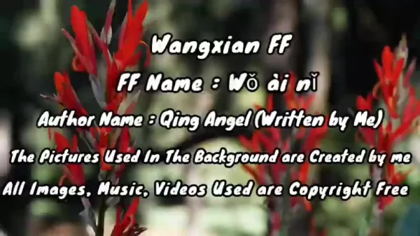 Moral Choices in WangXian FF