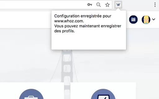 Whoz LinkedIn Extension - Chrome Extension
