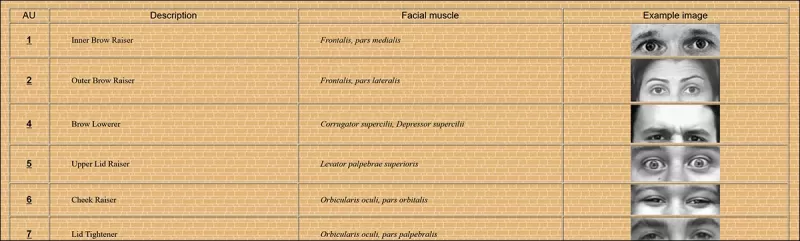 Một số bộ phận biểu thức 64 cấu thành trong FACS. Nguồn: https://www.cs.cmu.edu/~face/facs.htm