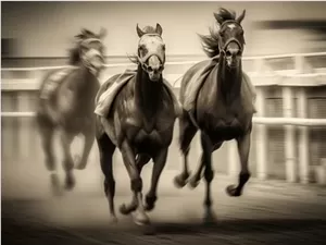 HappyHorse, le service d'Aliyun, fait le buzz alors que le commerce en ligne chinois s'impose rapidement sur le marché