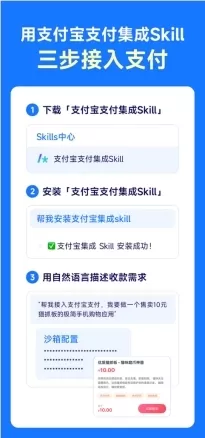 Alipay Payment Integration Skill interface