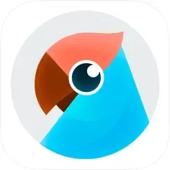有道翻译官APP