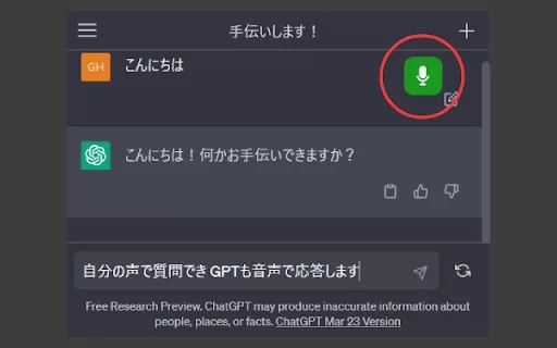 ChatGPT Voice Conversation Add-on - Chrome Extension