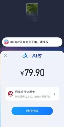 DTClaw AI payment feature screenshot