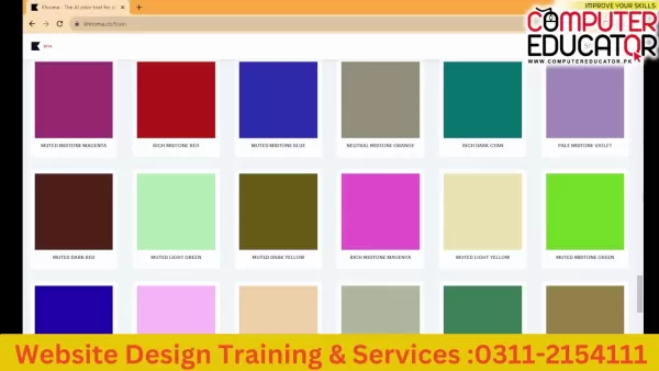 Color Selection Process