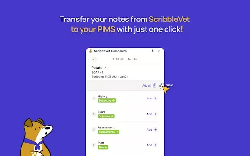 ScribbleVet Chrome Companion - Chrome Extension