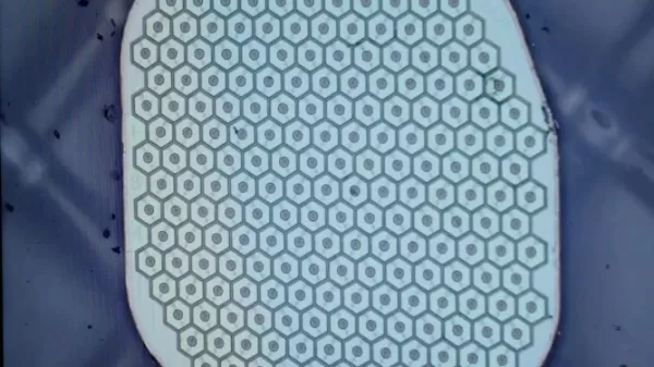 Science Corp. implantiert ersten Hirnsensor bei einem Patienten