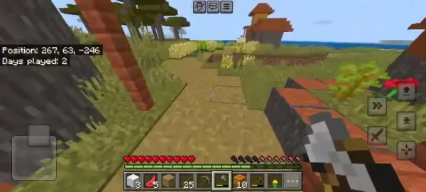 Minecraft village farm with crops