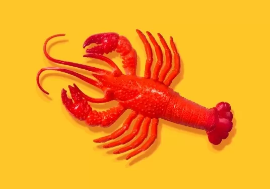 Some AI Experts Unimpressed by OpenClaw Despite Hype
