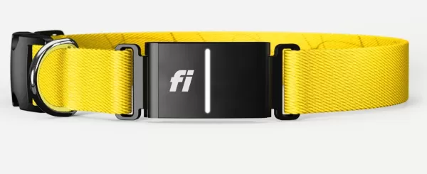 The Fi Series 3 Plus smart dog collar in yellow.