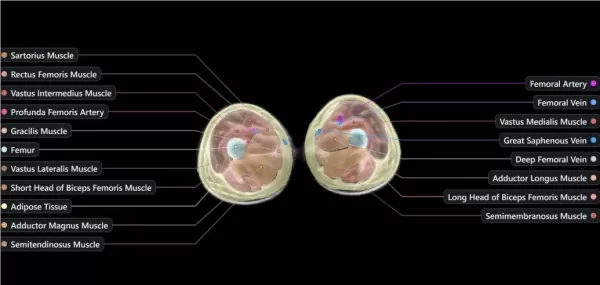 Midjourney、スパのような健康体験を実現する人体スキャン技術を開発