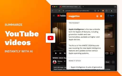 Summarize AI - Chrome Extension