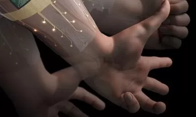 工程師揭露了AI驅動的手勢識別系統