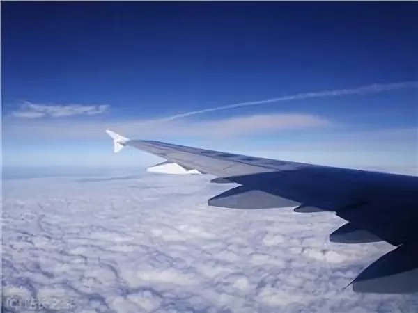 Fluggesellschaften wie Delta und Virgin setzen auf dynamische Preisgestaltung mittels KI, um die Ticketpreise in Echtzeit an die Nachfrage, das Kaufverhalten und Streckendaten anzupassen. Dadurch sinken die Chancen für Passagiere, günstige Angebote zu finden. Experten zufolge ersetzen Vorhersagemodelle die herkömmliche feste Preisgestaltung, was zu flexibleren, aber potenziell höheren Flugpreisen für beliebte Strecken führt.