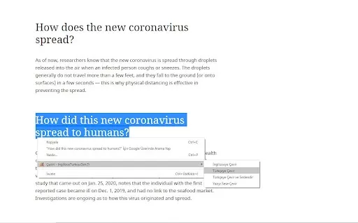 Instant Translator - Chrome Extension