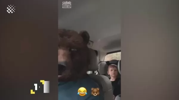 他们的反应是真实的。