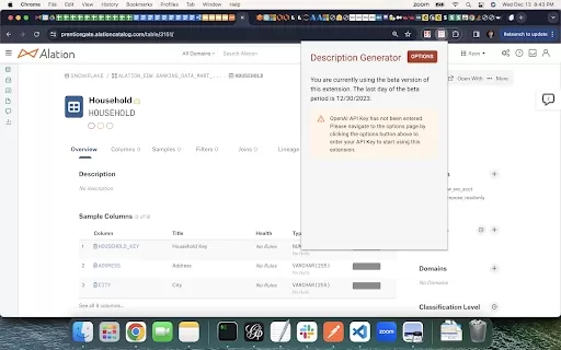 Alation ChatGPT Description Generator Extension - Chrome Extension