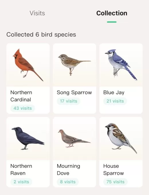 El comedero para pájaros de Kiwibit, que funciona con inteligencia artificial, es mi nuevo compañero en el jardín.