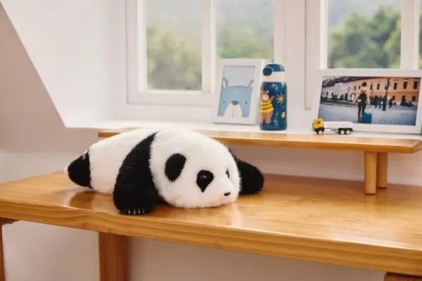 Die CES 2026 präsentiert ausgefallene Technologien, darunter Razers holografischen KI-Schreibtischbegleiter Project AVA, einen berührungsempfindlichen KI-Panda-Roboter für die Altenpflege, einen intelligenten Eismacher mit Geräuschreduzierung, ein ultraschallvibrierendes Küchenmesser, einen Musik spielenden Lutscher, einen von Wall E inspirierten Heimroboter und Miras eiförmigen Hormon-Tracker für zu Hause.