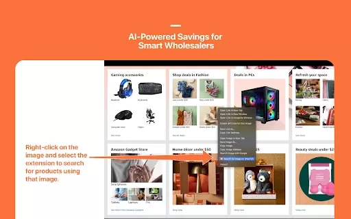 Image Search Plugin - Chrome Extension