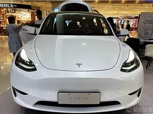 Tesla AI5 Chip Tape-Out Complete After Musk's Direct Oversight, Rivaling Blackwell with Dual-Chip Power