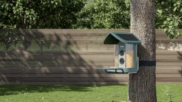 O alimentador de pássaros da Kiwibit, equipado com inteligência artificial, se torna o favorito dos jardins