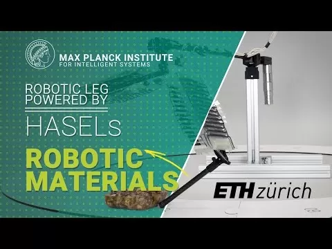 由 HASEL 驱动的机械腿原型