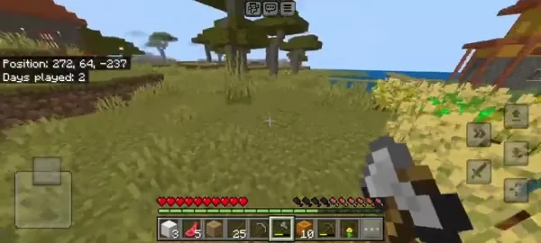 Minecraft village farm with crops