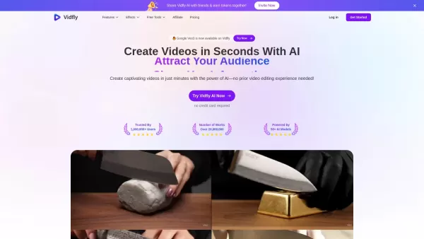 Vidfly