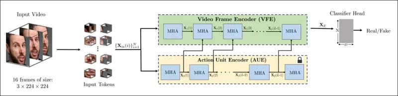 Lược đồ cho phương pháp mới. Video đầu vào được xử lý với phát hiện mặt để trích xuất các khung cách đều nhau, tập trung vào khuôn mặt, sau đó được chia thành các mảng hình ống và được chuyển qua một bộ mã hóa hợp nhất các biểu diễn tiềm ẩn từ hai nhiệm vụ lý do trước. Vectơ kết quả sau đó được sử dụng bởi một trình phân loại để xác định xem video là thật hay giả.