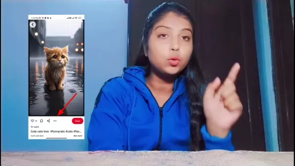 Pinterest Video Search